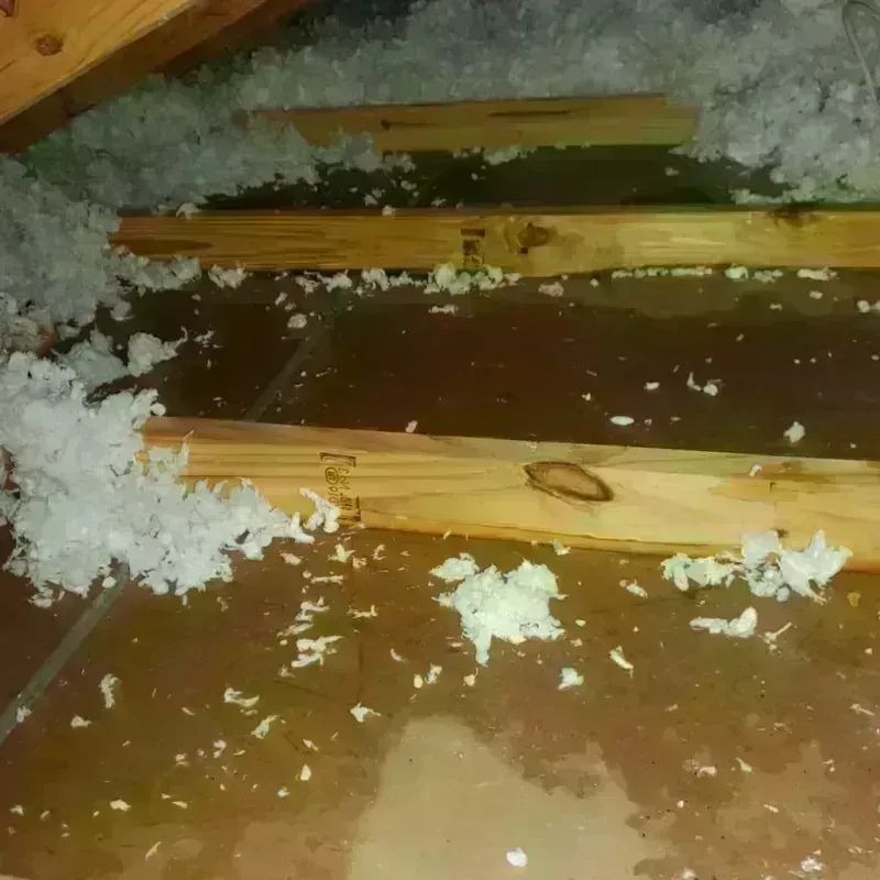 Attic Water Damage in West Canton, NC