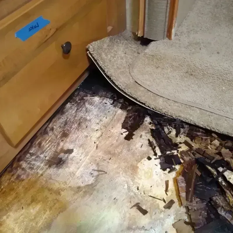 Wood Floor Water Damage in West Canton, NC